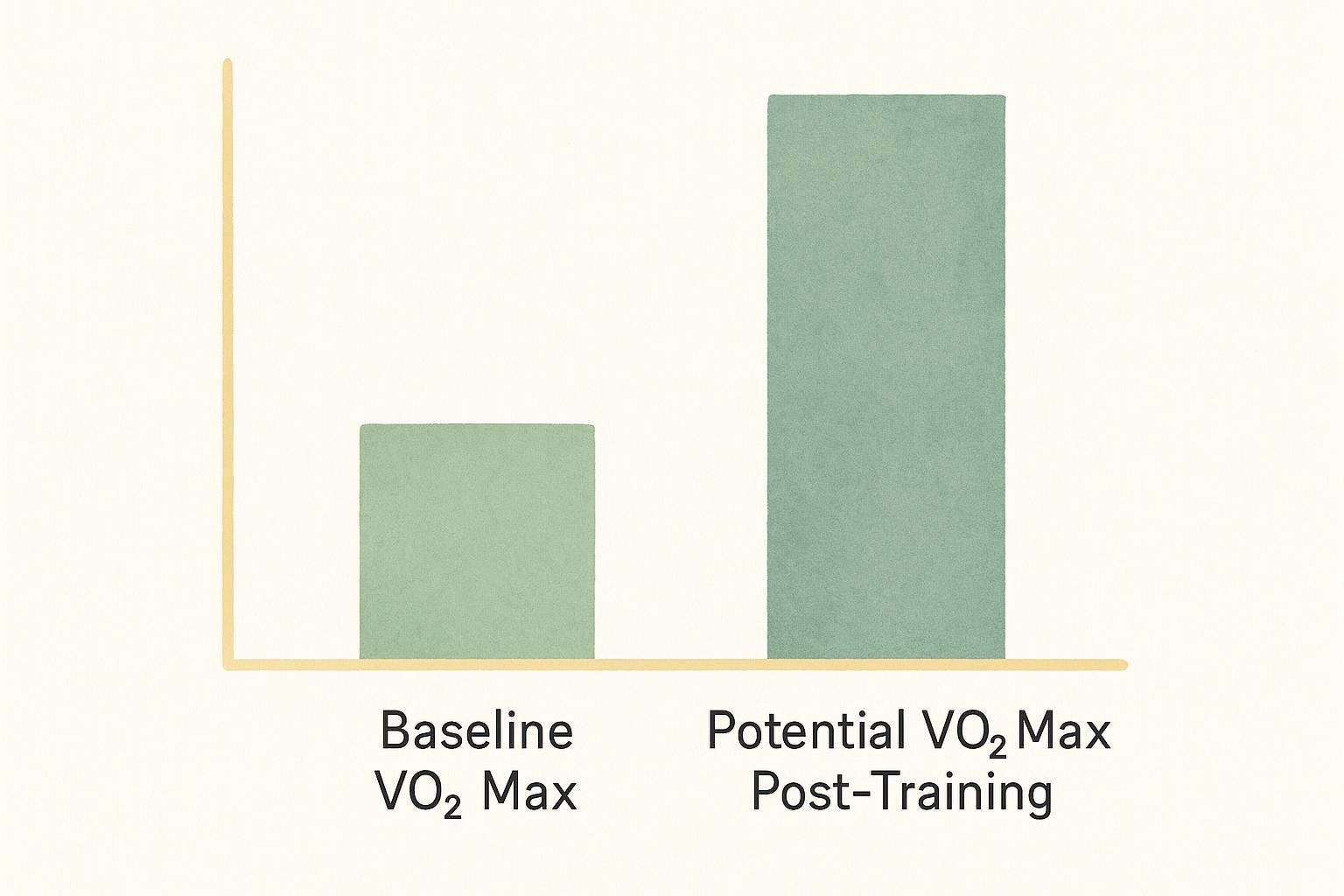 Bar chart comparing baseline VO2 max to potential VO2 max after a training plan, showing a significant increase with training.
