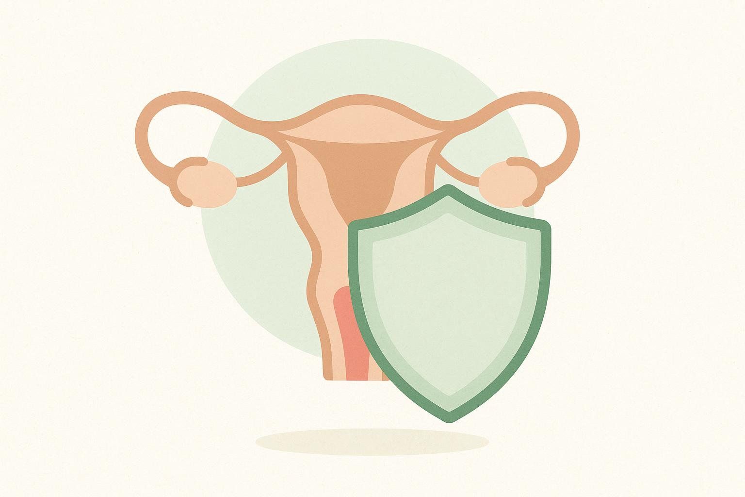 An illustration of a shield protecting a uterus, symbolizing how progestogen protects the uterine lining during hormone therapy.