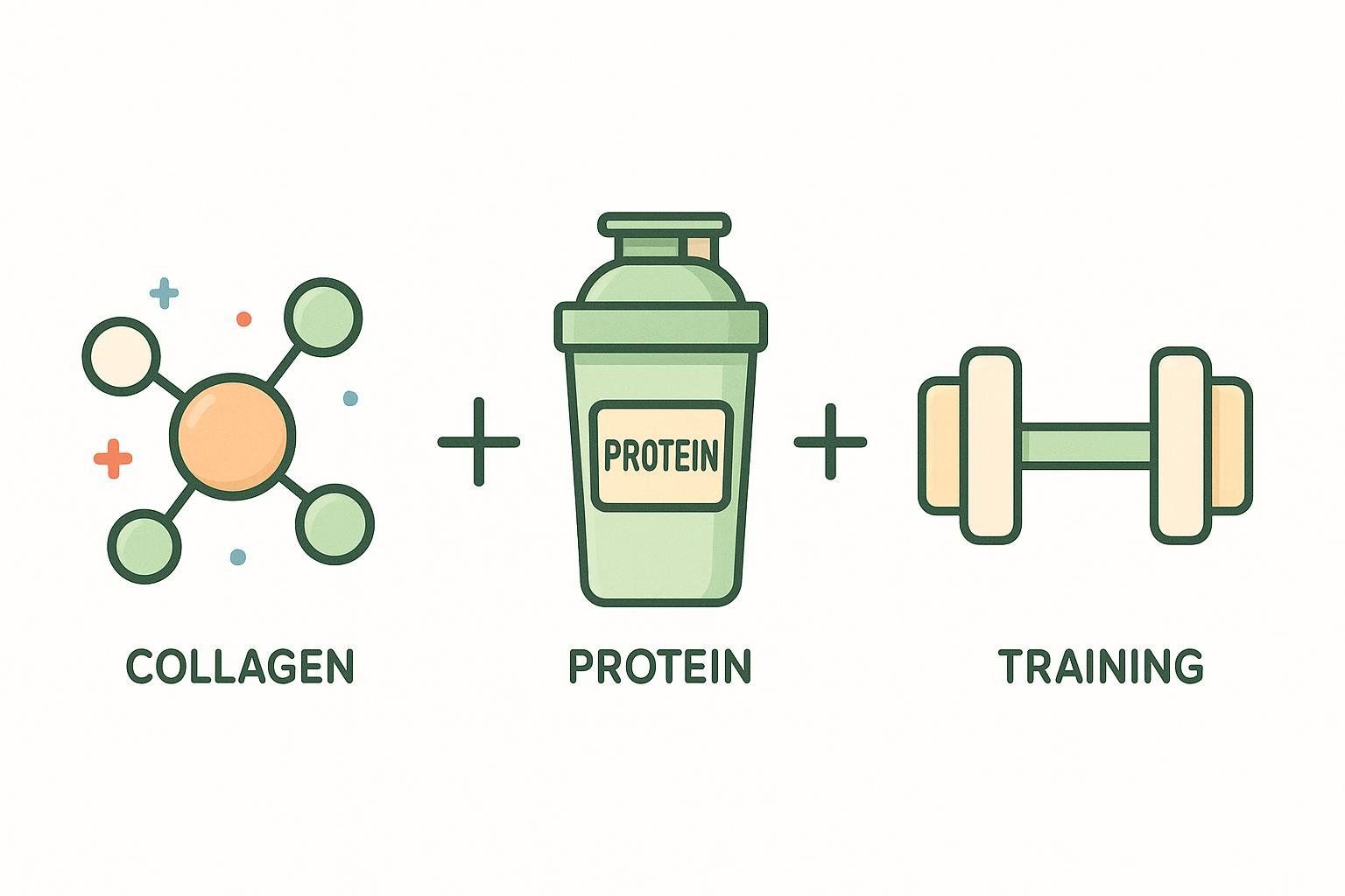 An image illustrating a formula for muscle growth and recovery. It shows an icon for collagen (a molecule), plus an icon for protein (a protein shake bottle), plus an icon for training (a dumbbell).