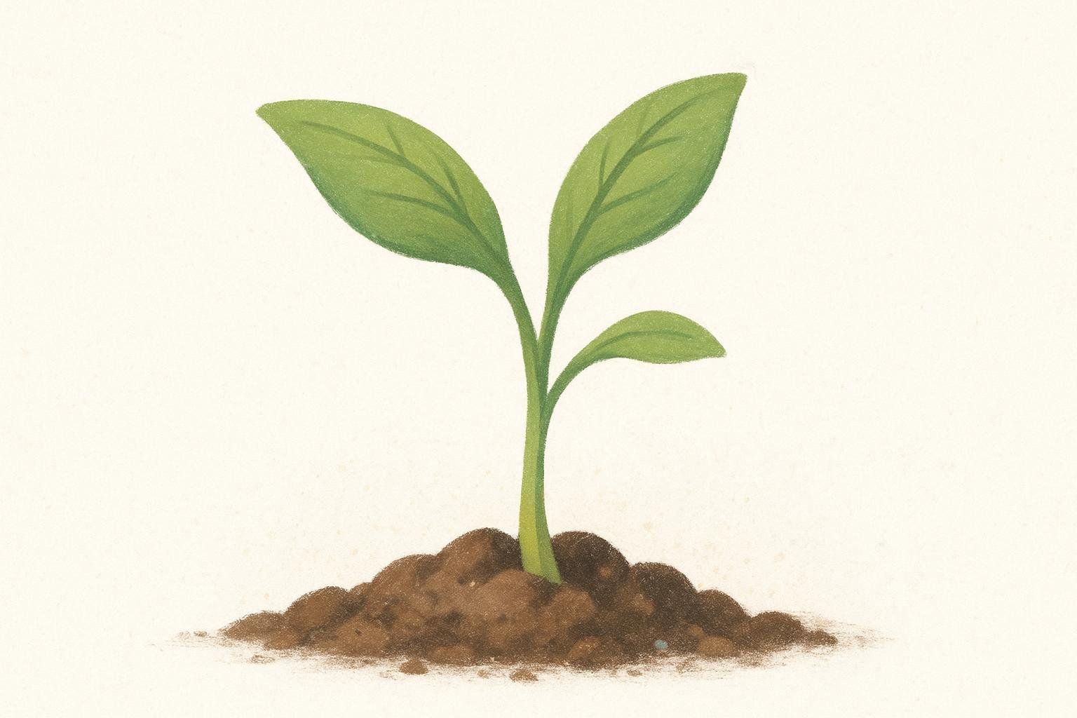 An illustration of a small green plant with three leaves sprouting from a mound of brown soil.