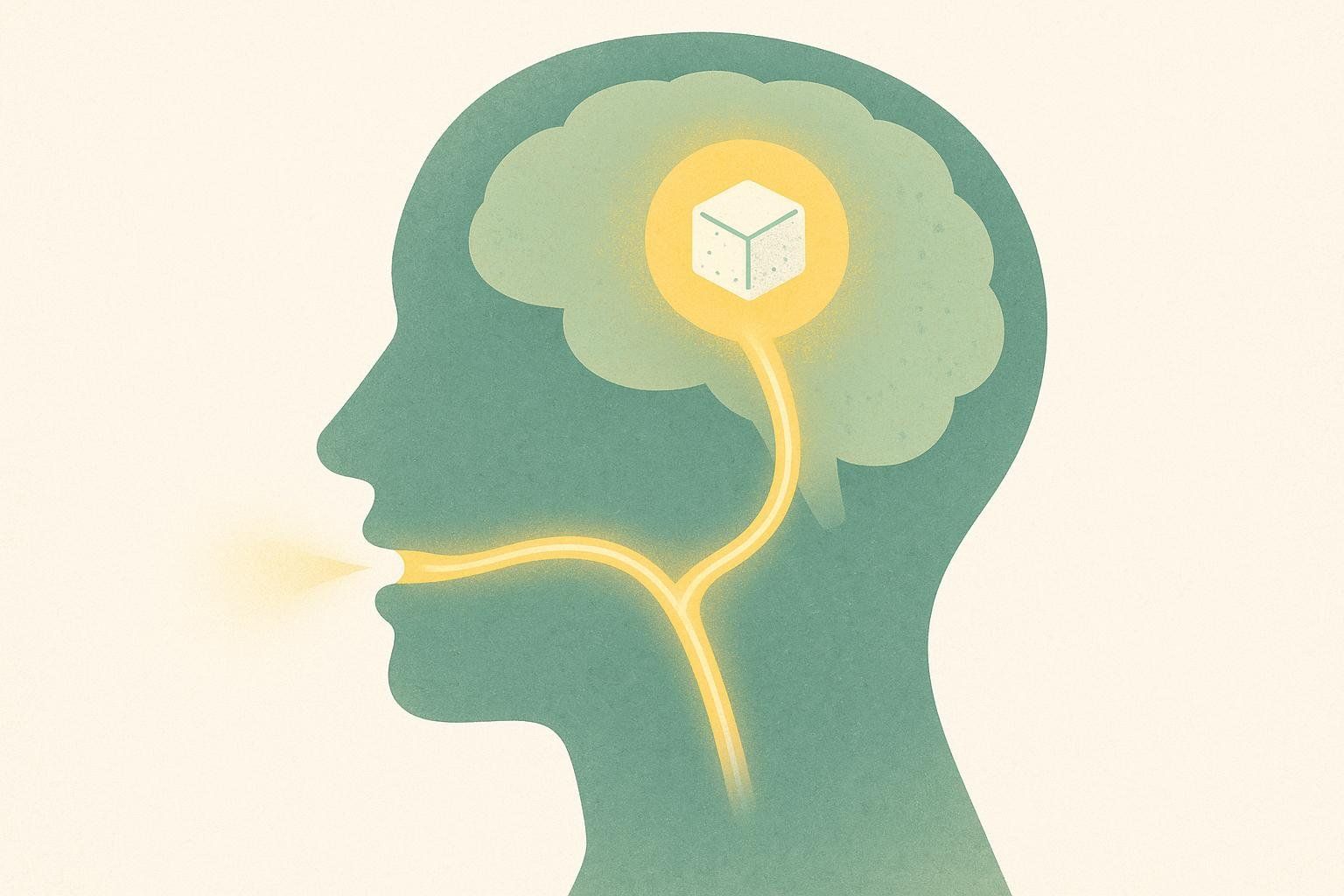 An illustration from the side showing a human head with a glowing yellow pathway from the mouth to the brain. Inside the brain, a sugar cube is shown within a brightly lit yellow circle, illustrating how sugar stimulates the brain's reward pathway and contributes to cravings.