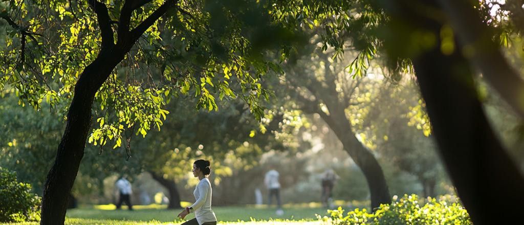 A woman in a white shirt performs exercises in a park with sun dappling through the trees.
