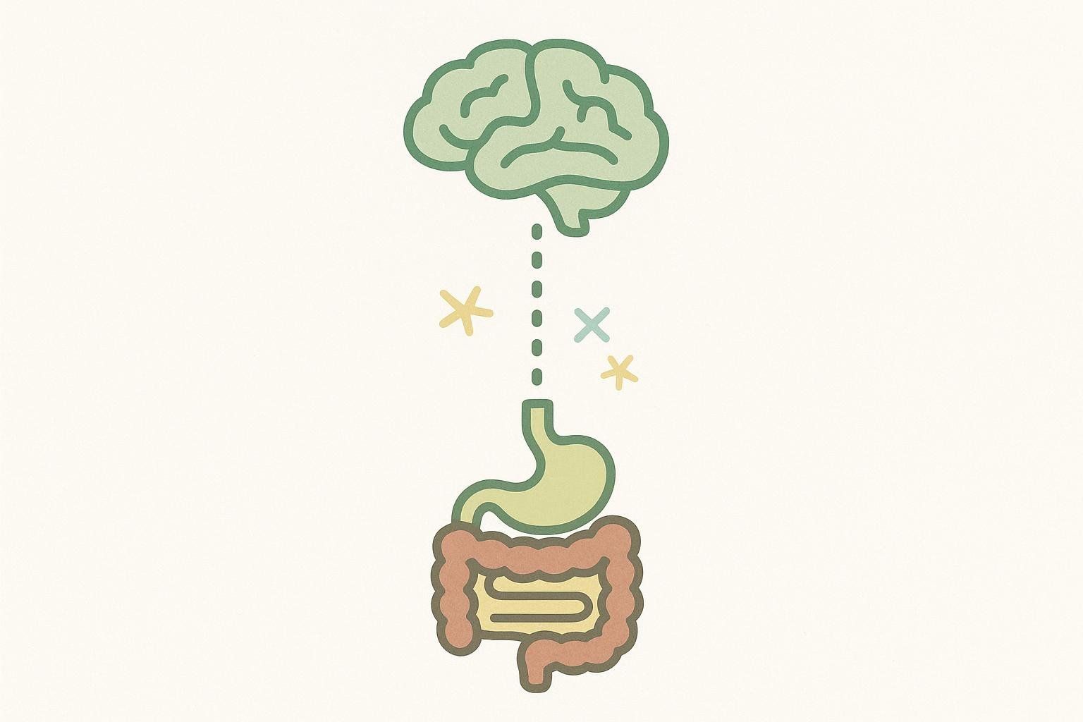 A simplified illustration depicting the gut-brain axis, with a line connecting a brain icon to a stomach icon, symbolizing their communication.