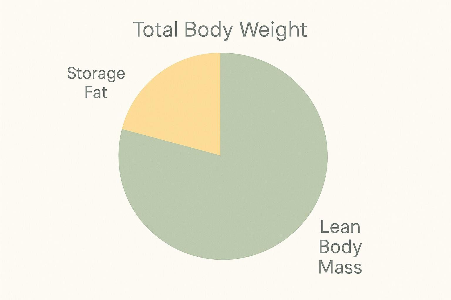 A pie chart illustrating total body weight, with a yellow slice representing storage fat and a larger green slice representing lean body mass.