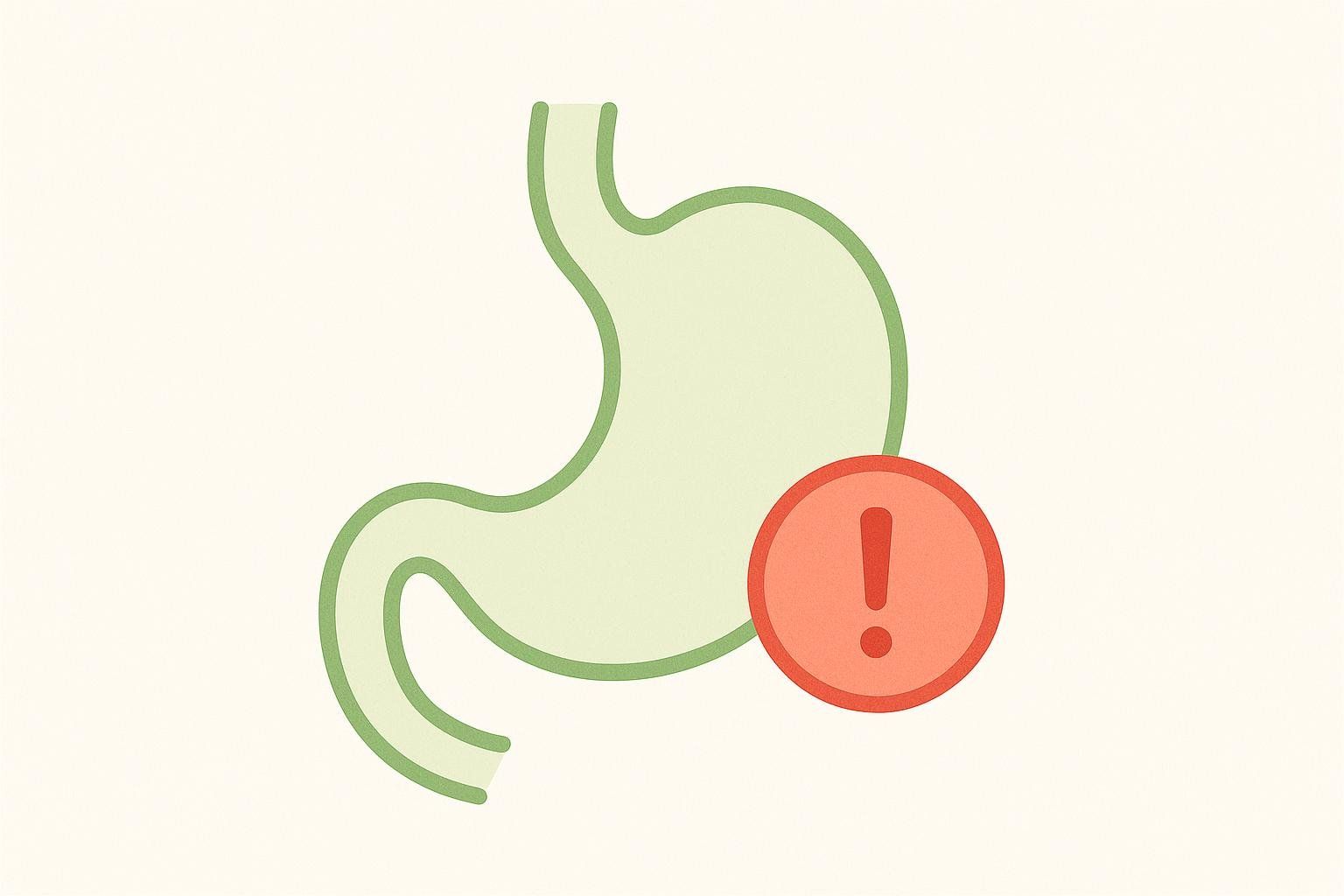 A simple icon of a stomach with an exclamation mark next to it, symbolizing potential for heartburn or digestive upset.
